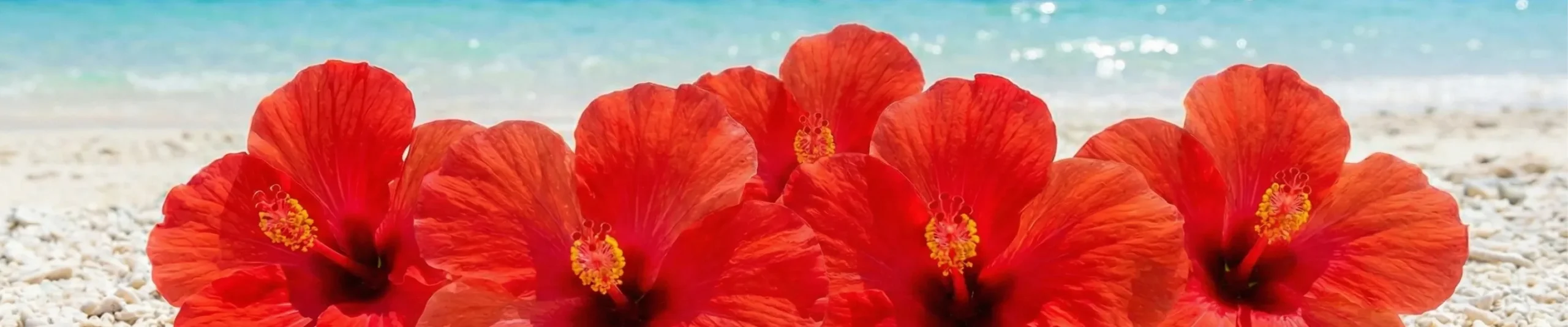 クリニック紹介