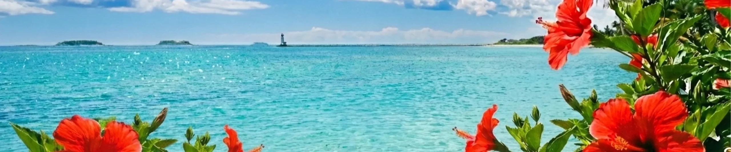 リニューアルオープンのお知らせ 