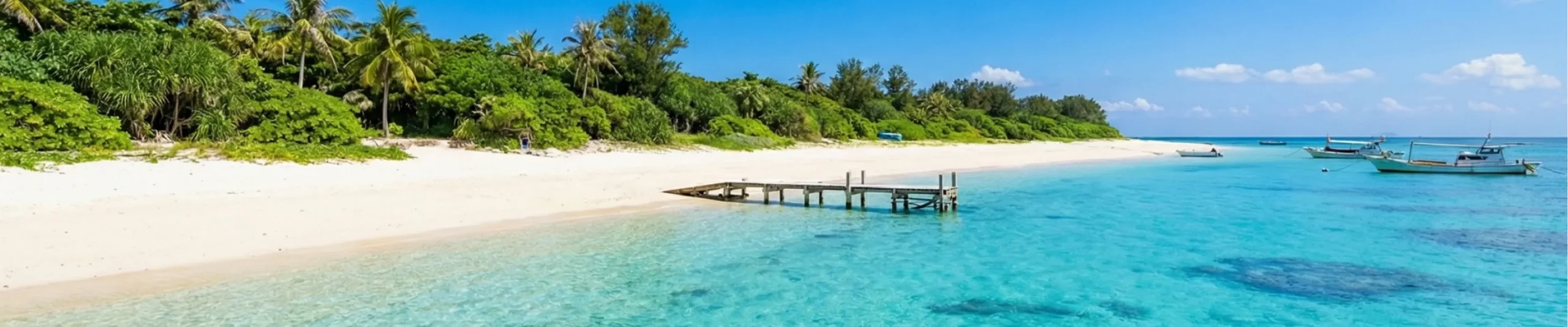 プライバシーポリシー・特定商取引法に基づく表記